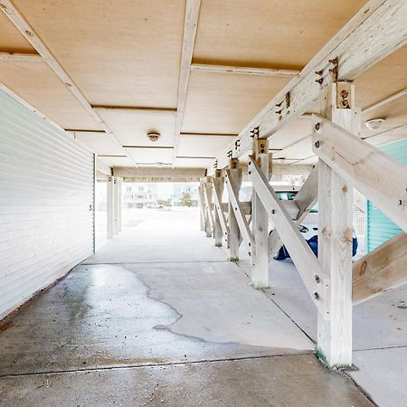 Clownfish & Cobia Buxton Kamer foto