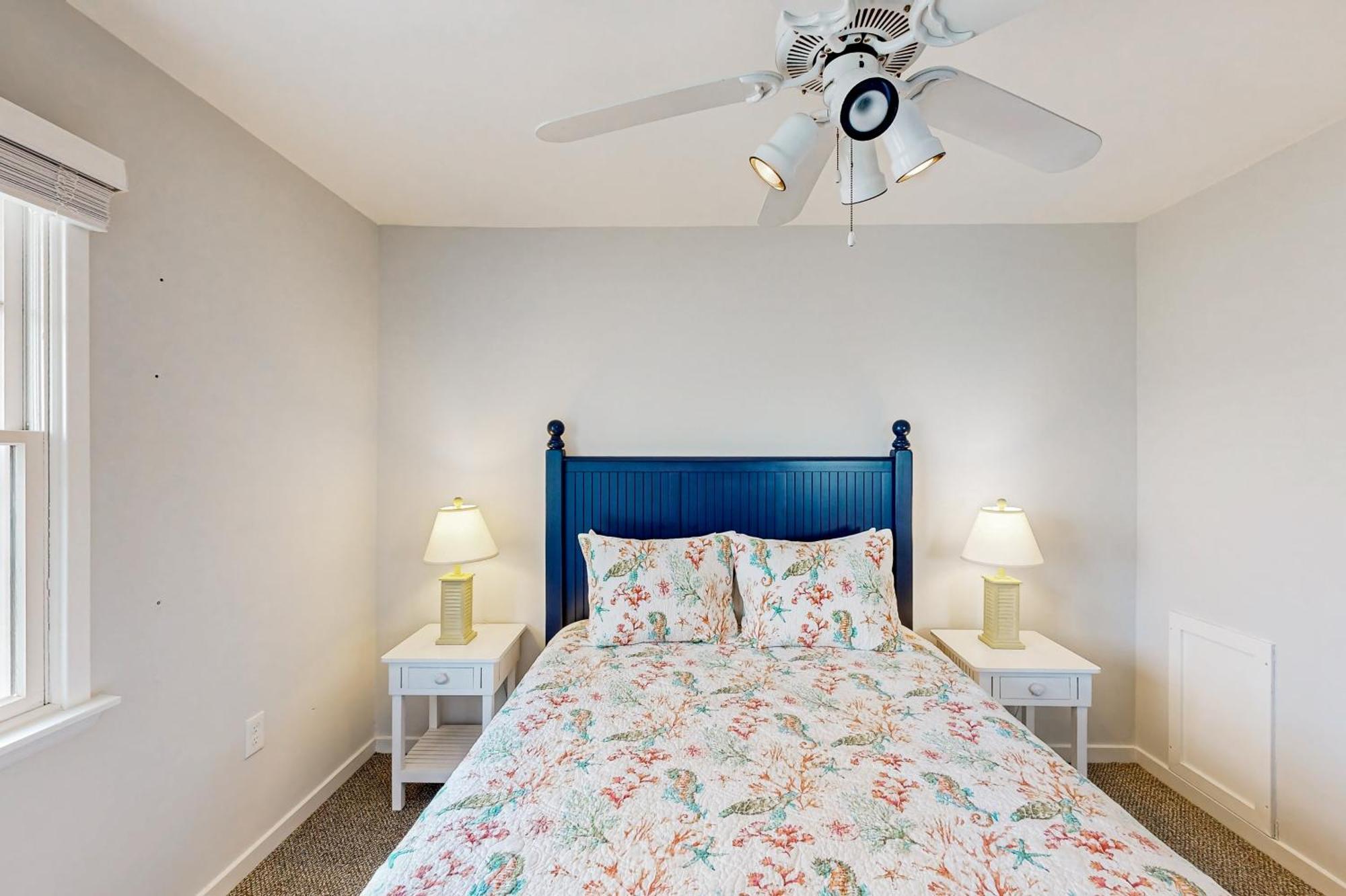 Clownfish & Cobia Buxton Kamer foto