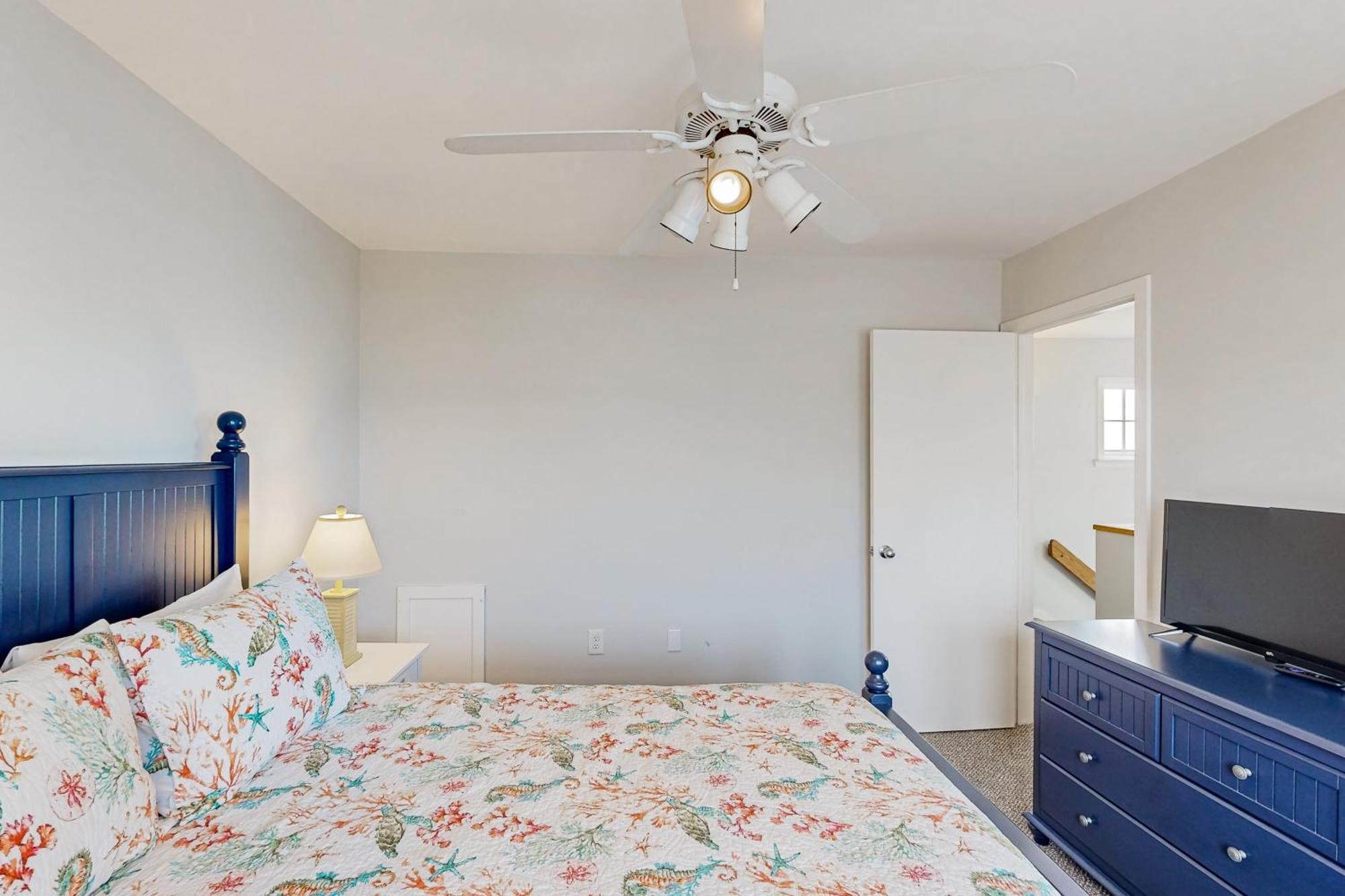 Clownfish & Cobia Buxton Kamer foto