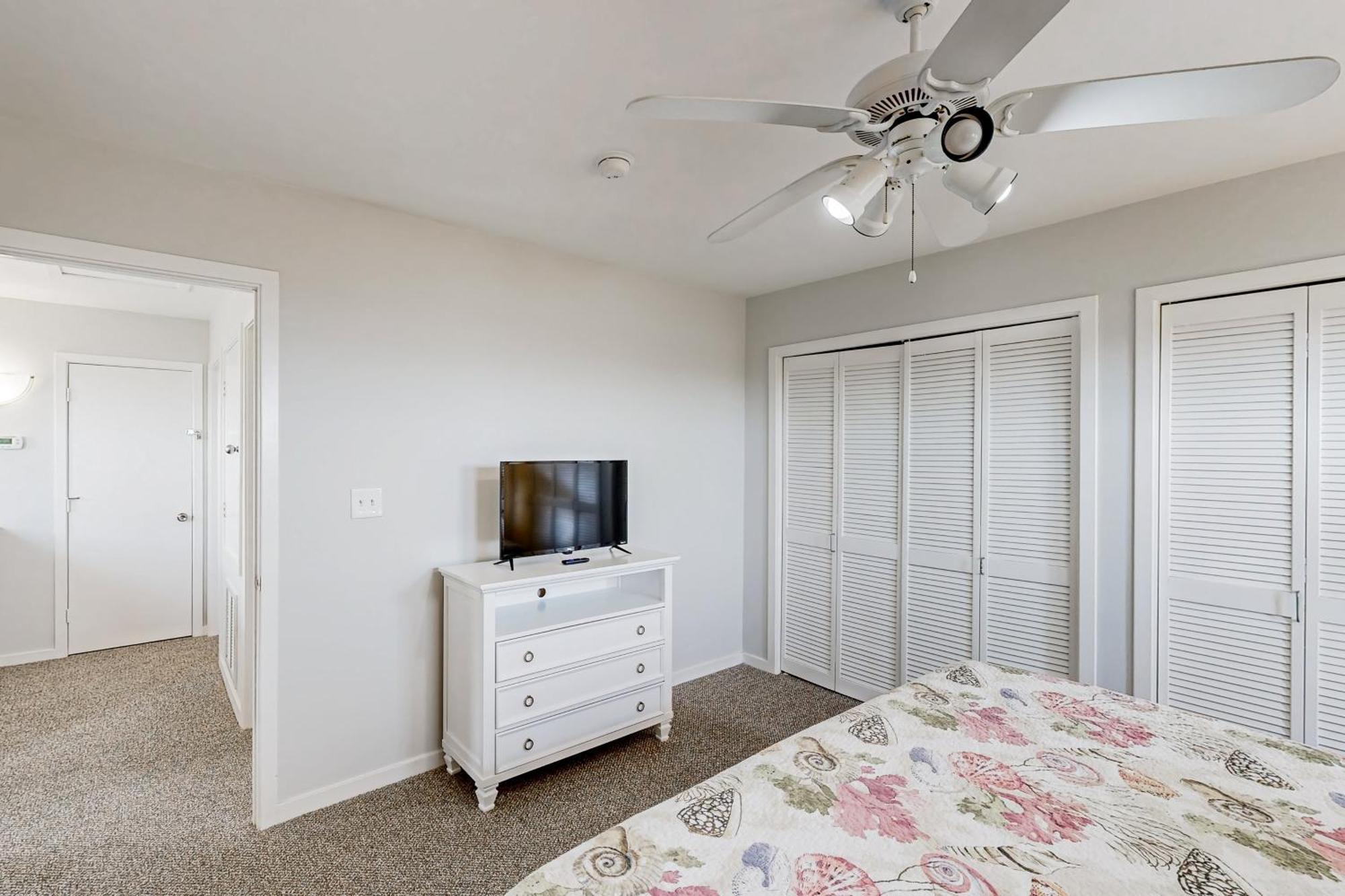 Clownfish & Cobia Buxton Kamer foto