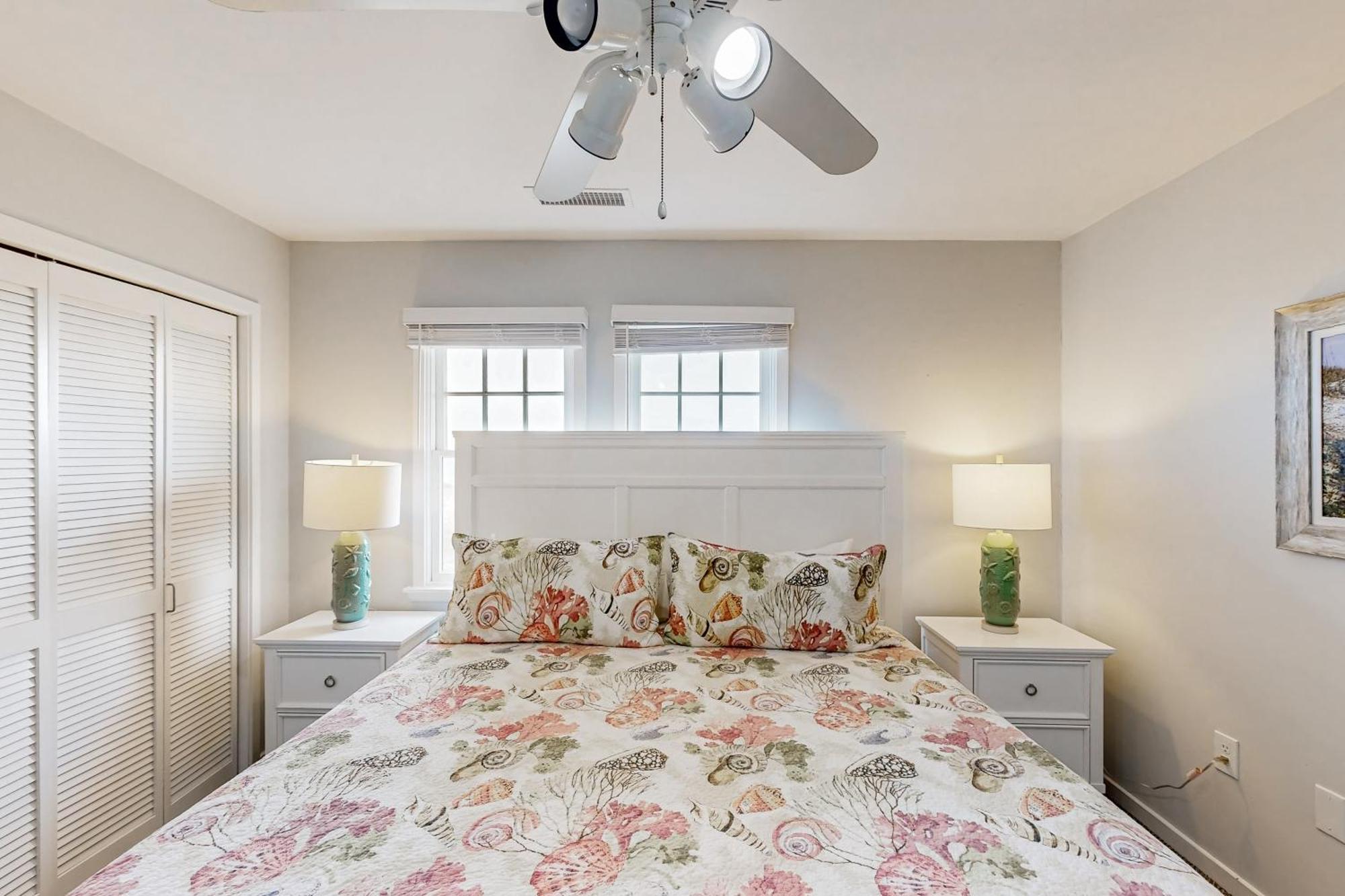Clownfish & Cobia Buxton Kamer foto