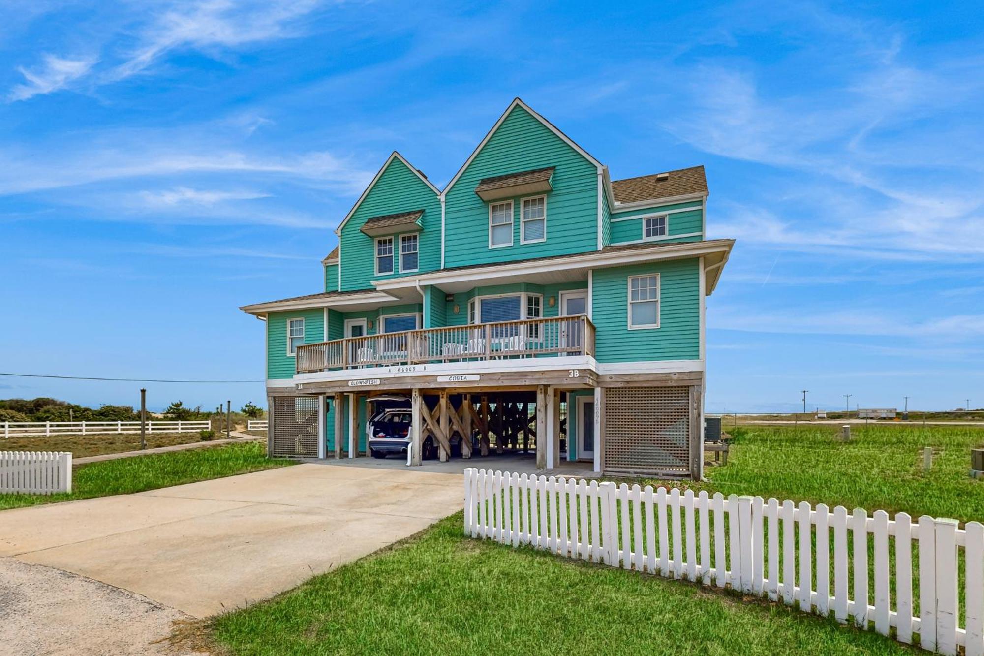 Clownfish & Cobia Buxton Kamer foto